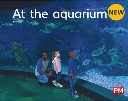tu51 New! PM Library Magenta Level 2 At the aquarium 6-pack - Image 1