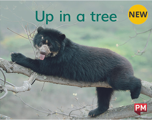 tu52 New! PM Library Magenta Level 2 Up in a tree 6-pack - Image 1