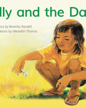 PM Library Red Level 4 Sally and the Daisy 6-pack