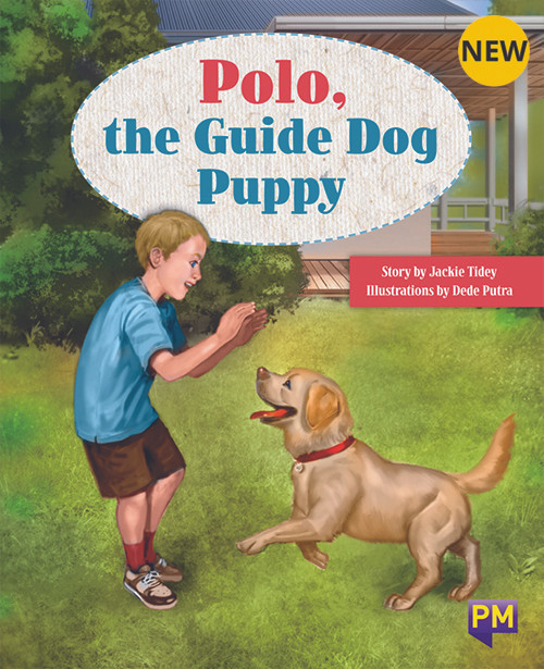 tu9 New! PM Library Orange Level 15 Polo, the Guide Dog Puppy 6-pack - Image 1