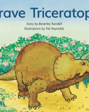 PM Library Green Level 12 Brave Triceratops 6-pack