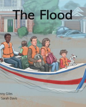 PM Library Green Level 14 The Flood 6-pack