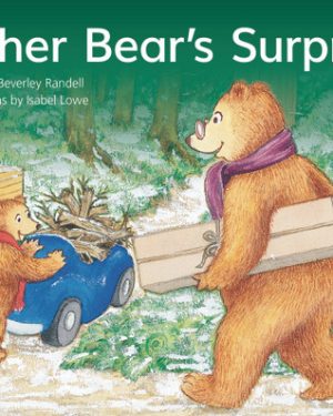 PM Library Green Level 13 Father Bear's Surprise 6-pack