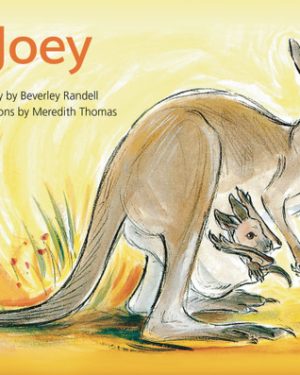 PM Library Green Level 14 Joey 6-pack