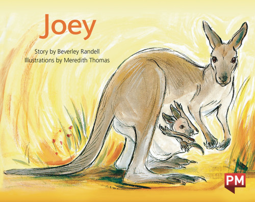 we70 PM Library Green Level 14 Joey 6-pack - Image 1