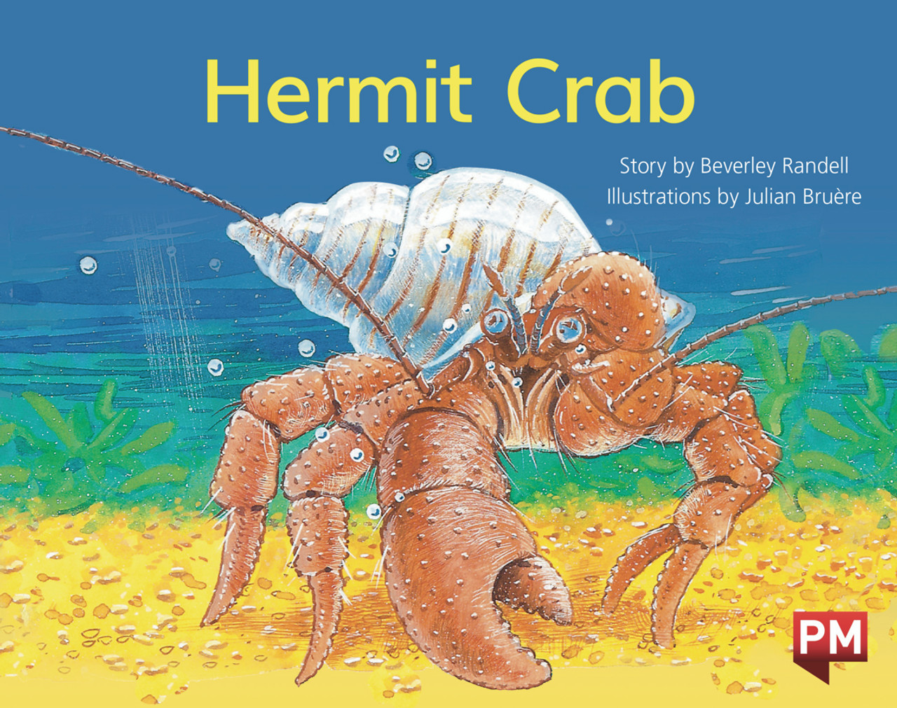 we8 PM Library Yellow Level 7 Hermit Crab 6-pack - Image 1