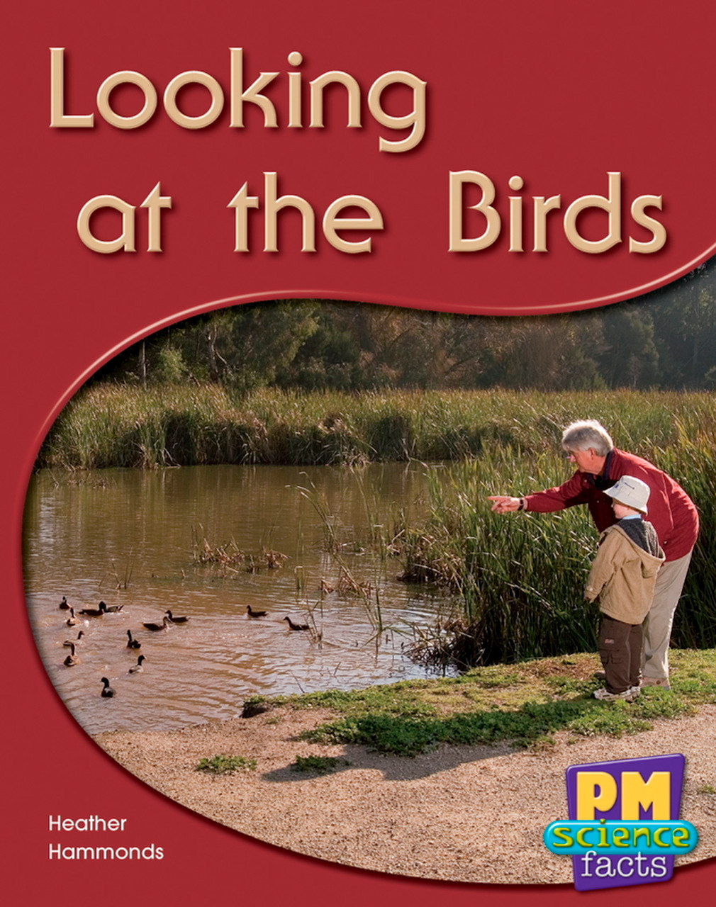 tu6 PM Science Facts Yellow/Blue Looking At The Birds Lvl 8-9: Looking At The Birds (6-pack) - Image 1